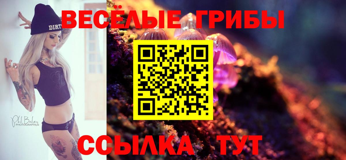 Лабинск  Галлюциногенные грибы Magic Shrooms  Псилоцибиновые грибы Psilocybine cubensis  Вход с VPN 